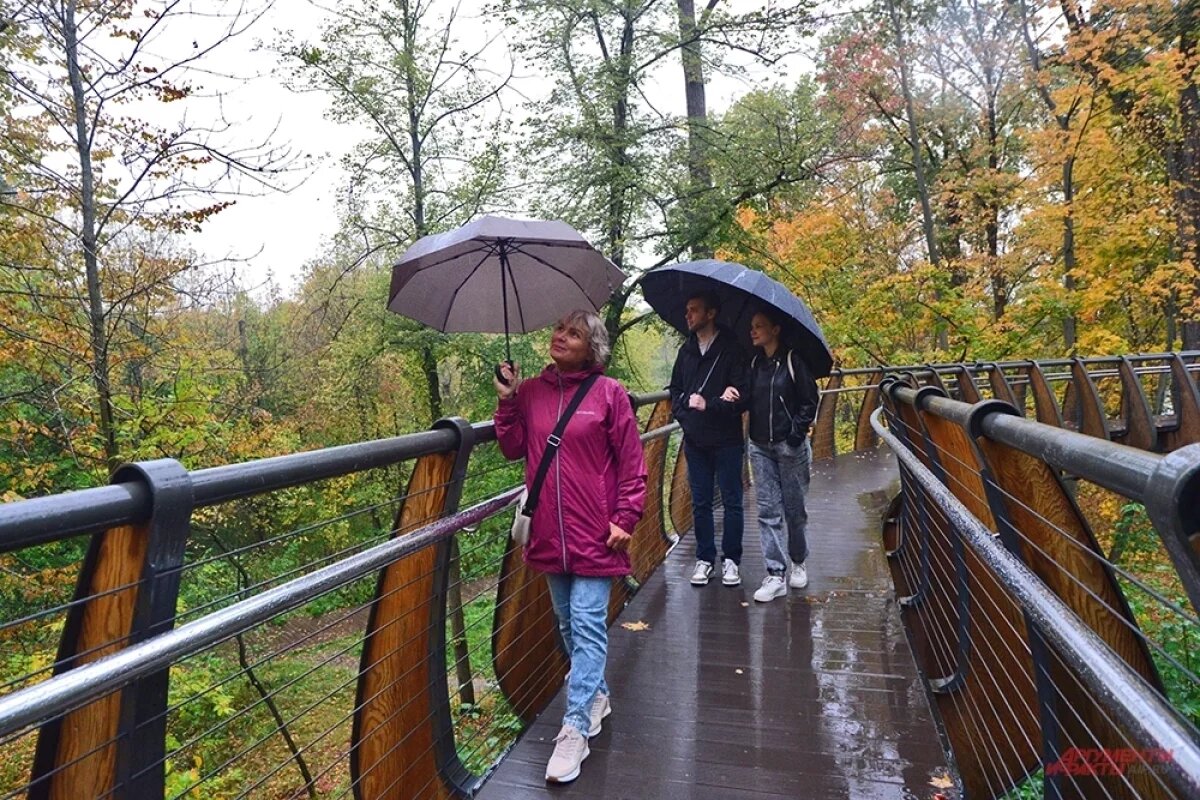    В Петербурге 26 млрд рублей выделят на благоустройство городской среды