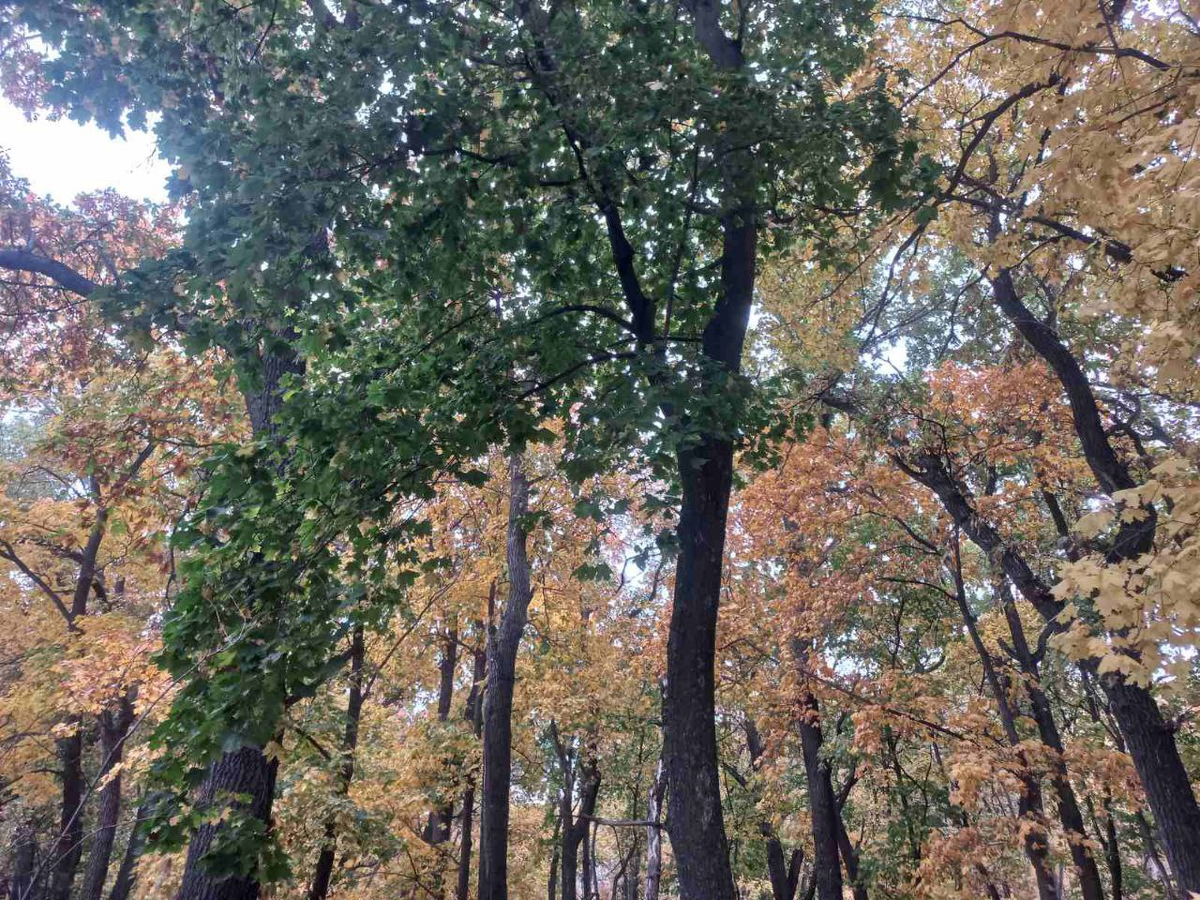 Фото автора.