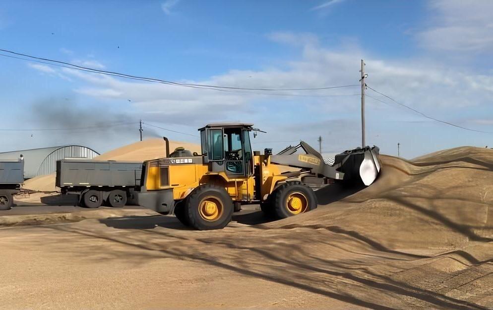 Фото: АПК Новости