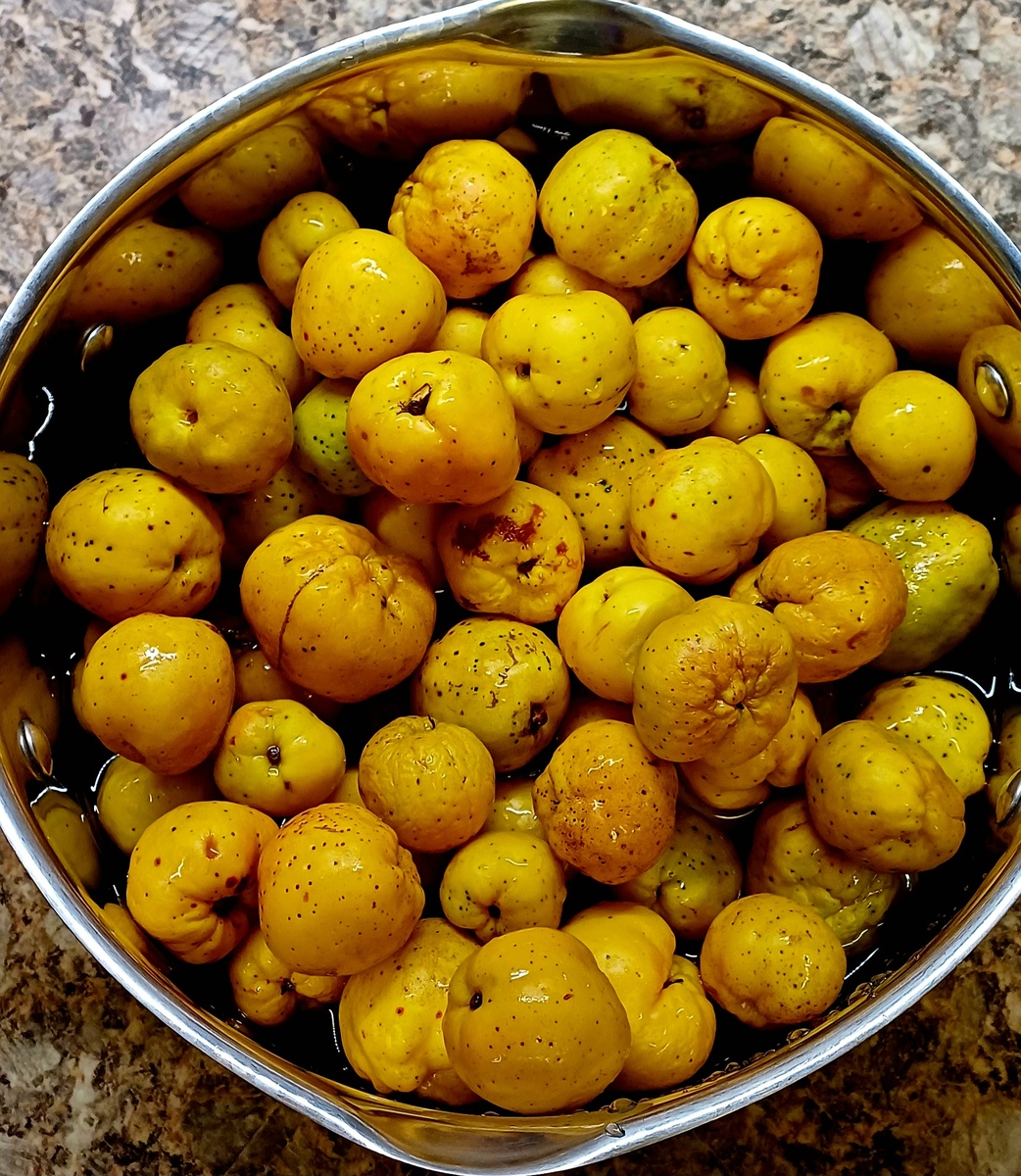 Пахучая кислюха