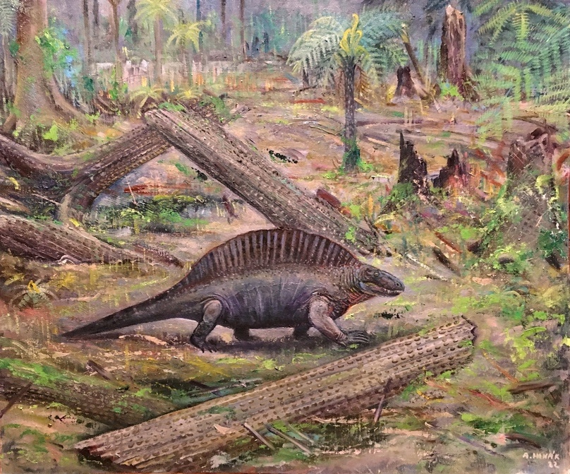 Ктеноспондил