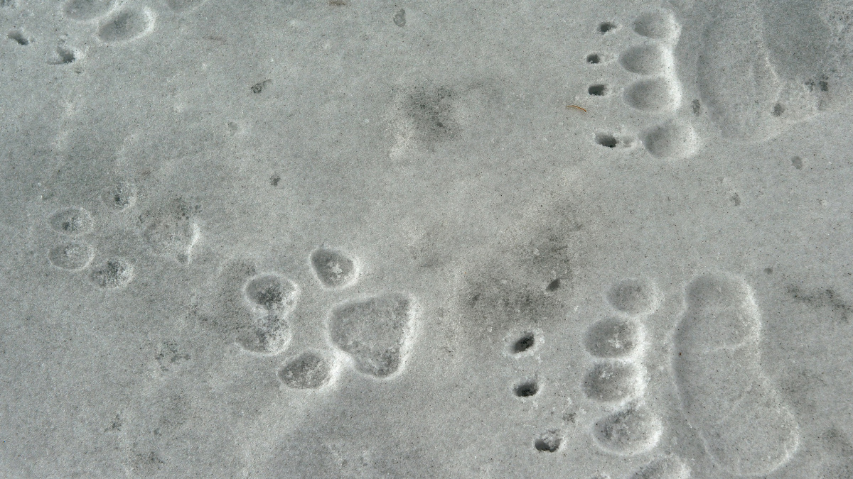 Фото: Сергей Горшков