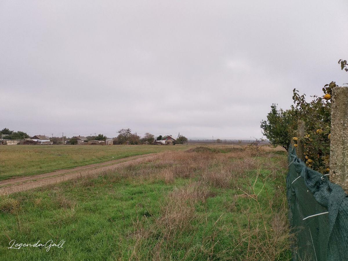 Вон там, в полях, еще висит серая пелена