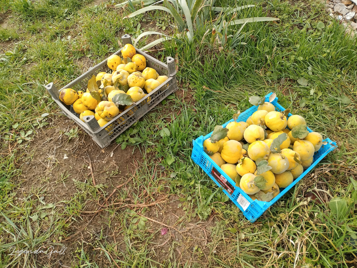 Один ящик Олег уже унес...