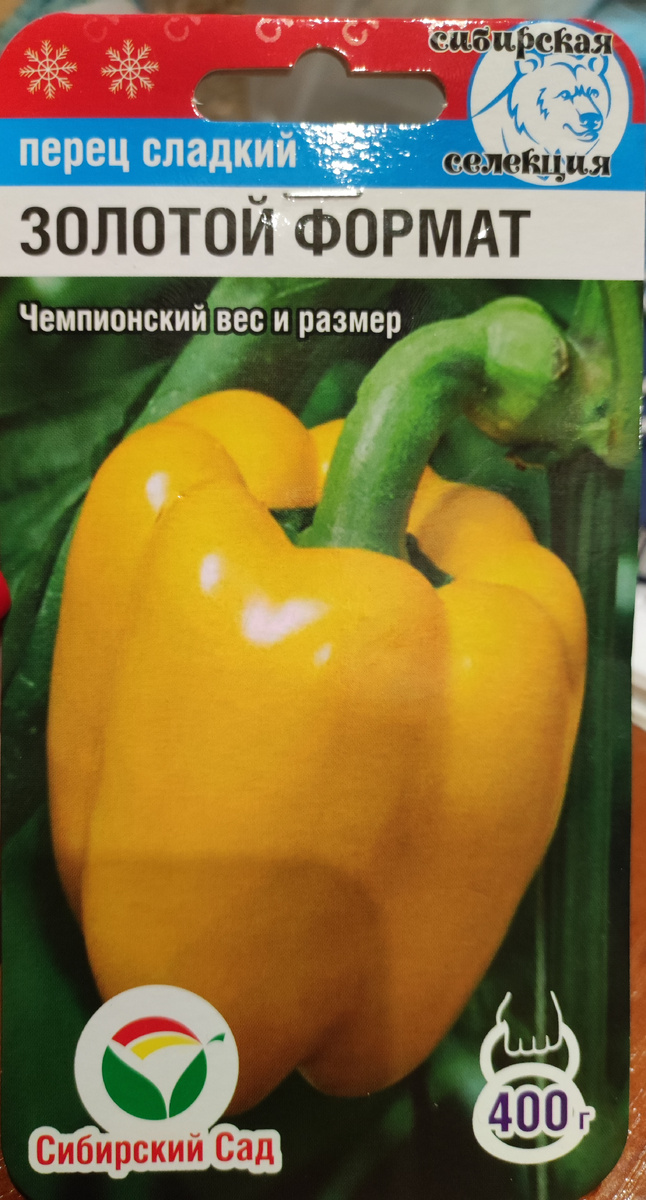 Фото автора, упаковка семян сладкого перца Золотой формат от агрофирмы Сибирский сад, 2023 год