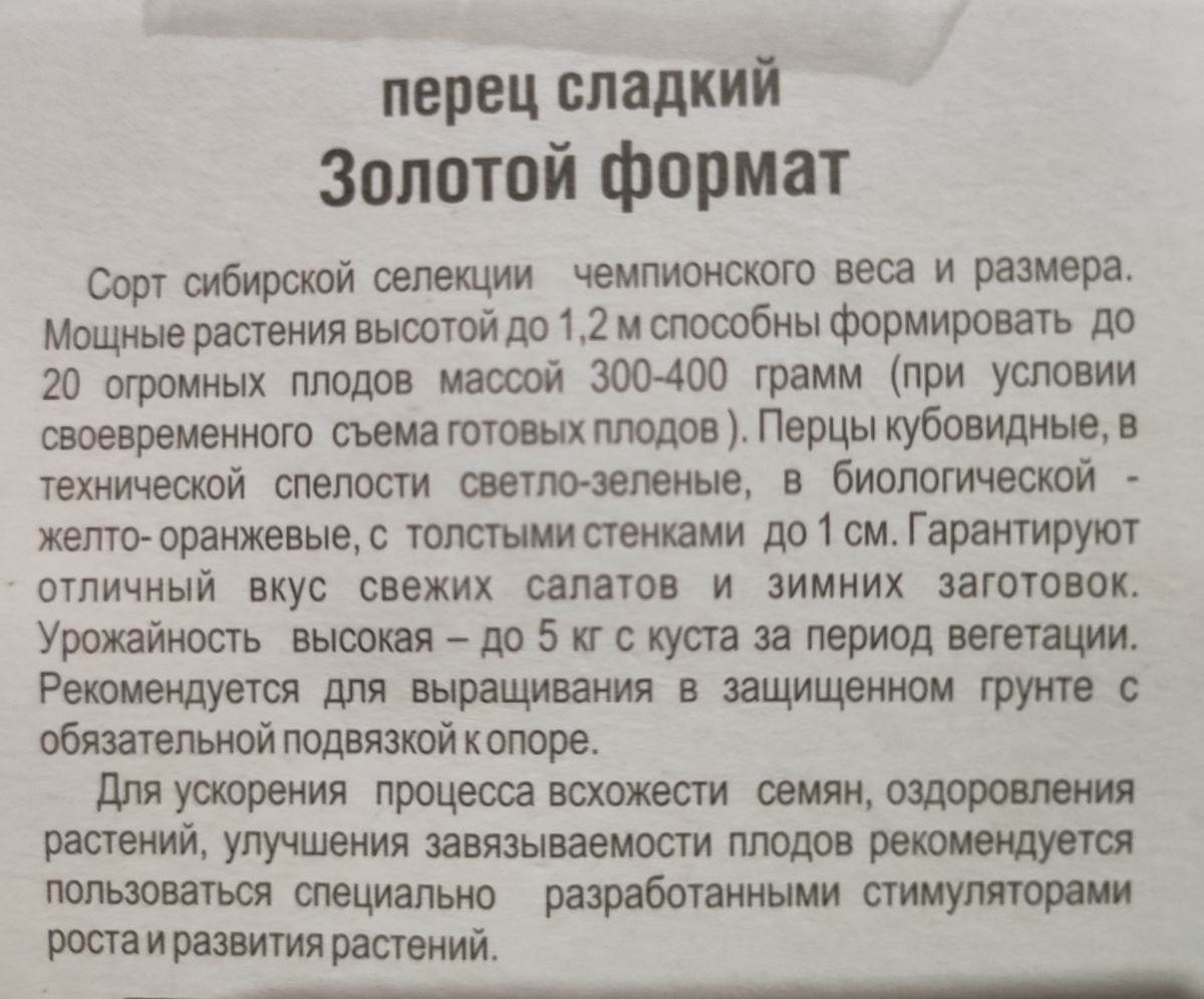Фото автора, упаковка семян сладкого перца Золотой формат от агрофирмы Сибирский сад, 2023 год