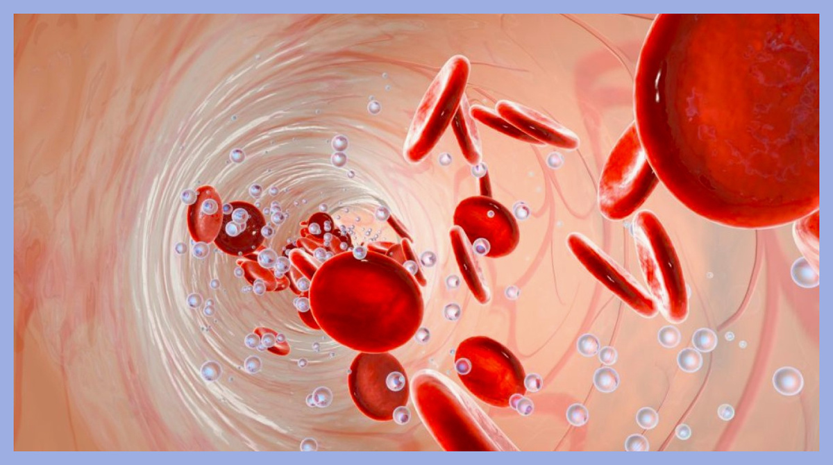 Создано с использованием картинок Yandex