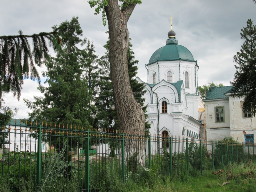 Толшевский спасо-преображенский монастырь в воронеже. Толшевский спасо-преображенский монастырь. Монастырь на территории воронежского заповедника. Толшевский монастырь воронежский биосферный заповедник. Толшевский монастырь воронежский биосферный заповедник.