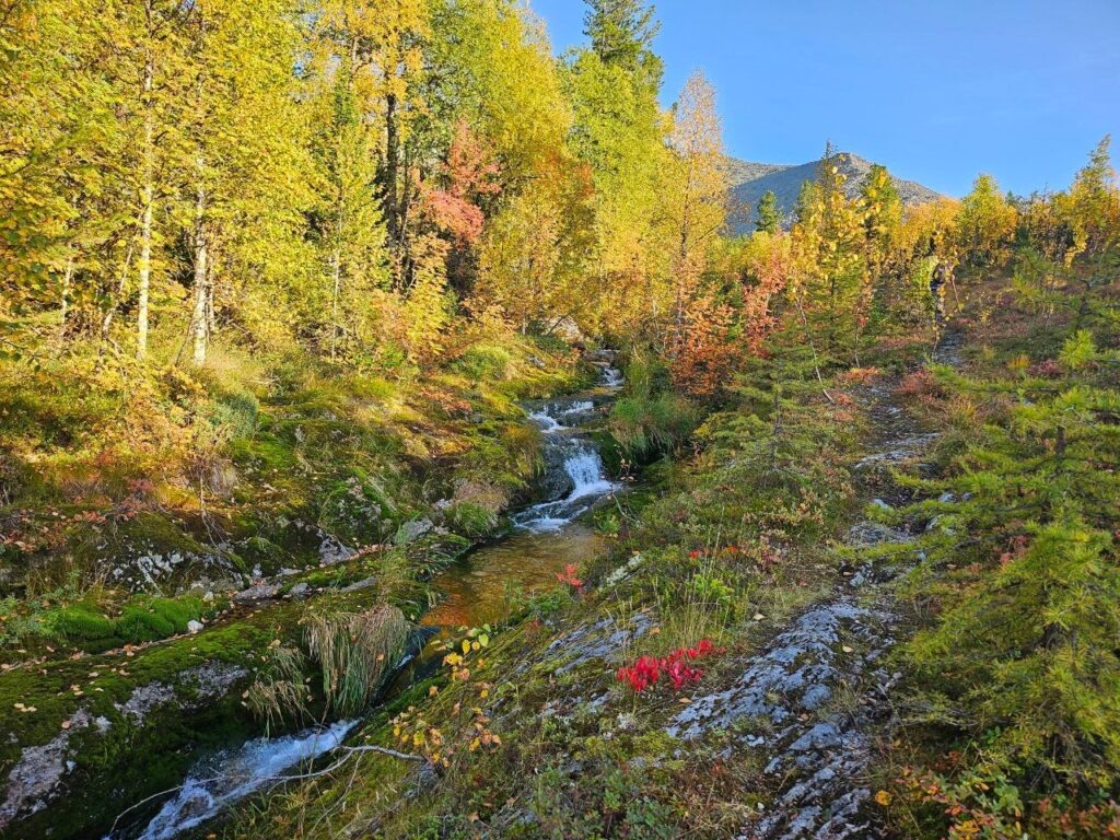   Фото: заповедник "Вишерский" Полина Анкушина
