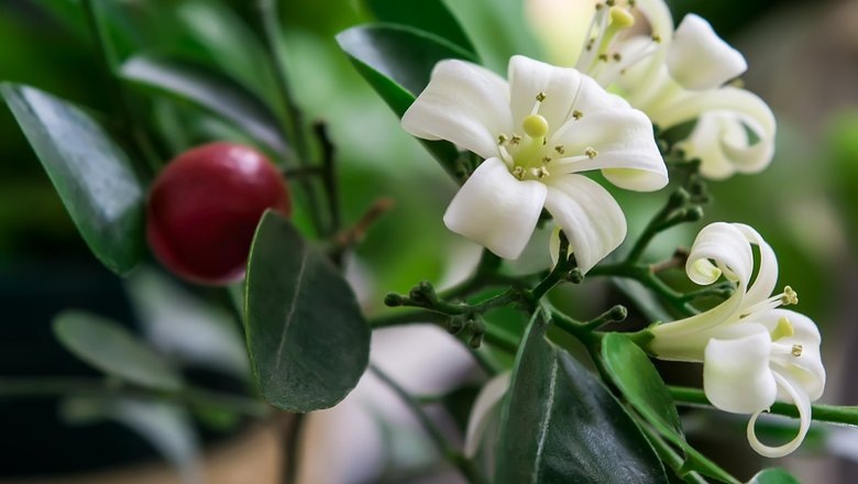 Источник: shutterstock