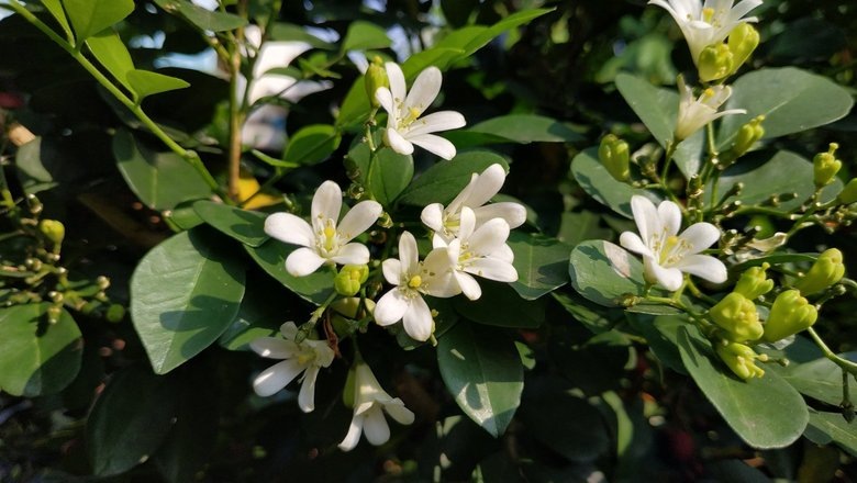 Источник: Shutterstock