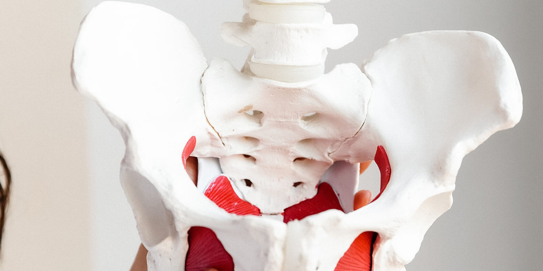 Шейка матки - где находится? Зачем нужна?