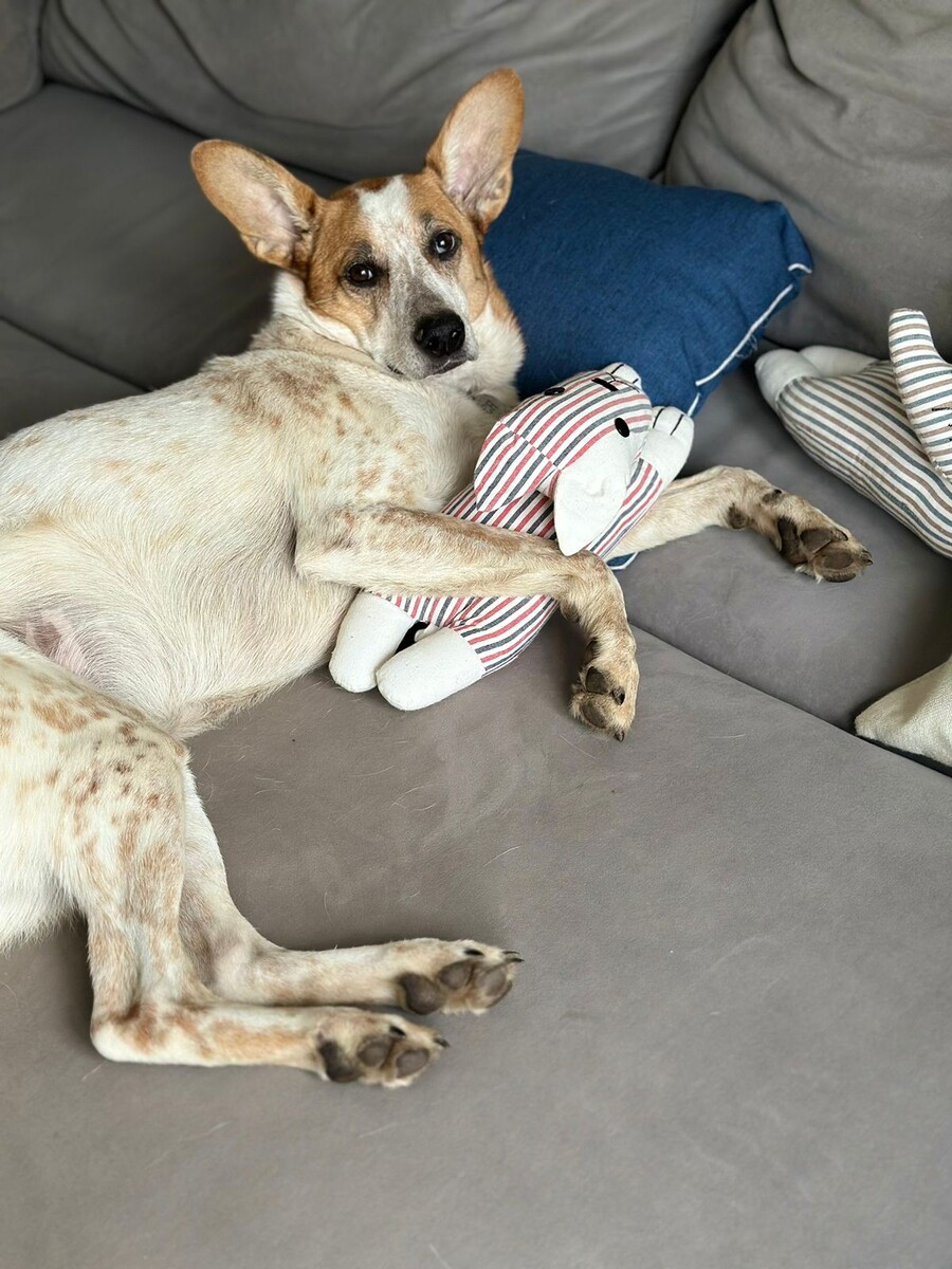 Осень - время уюта