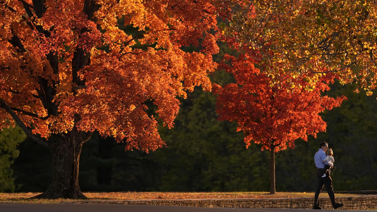 © AP Photo / Charlie Riedel