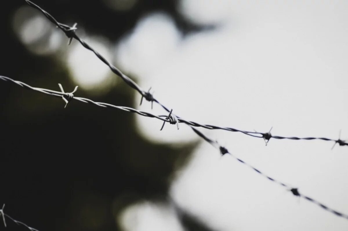    Украинку приговорили к 11 годам тюрьмы за сбор данных о ВС РФ в Белгороде