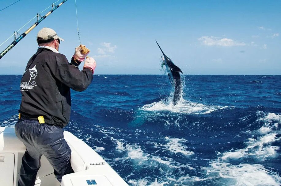 удачная рыбалка...