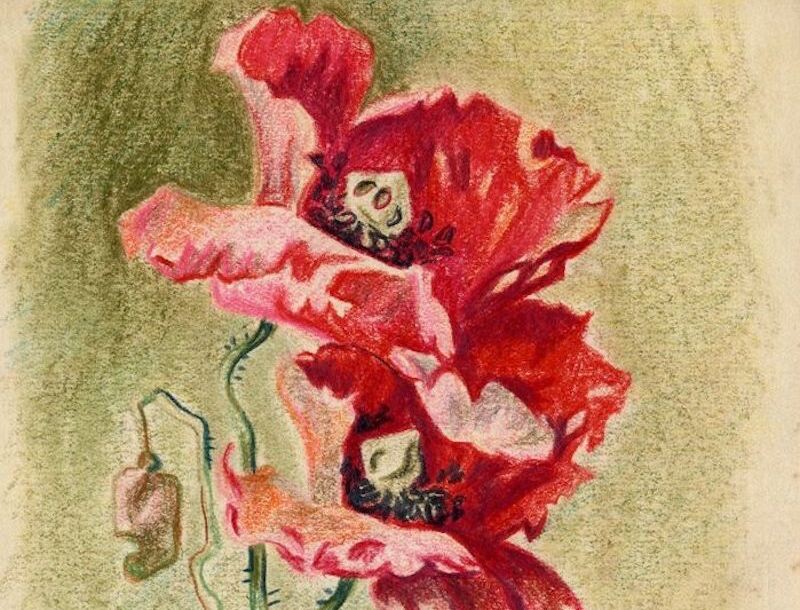 Открытка, нарисованная Евфросинии Керсновской в 1959 году в Норильске. Фотографии предоставлены Фондом сохранения наследия Е.А. Керсновской. Источник: Музей Норильска / norilskmuseum.ru