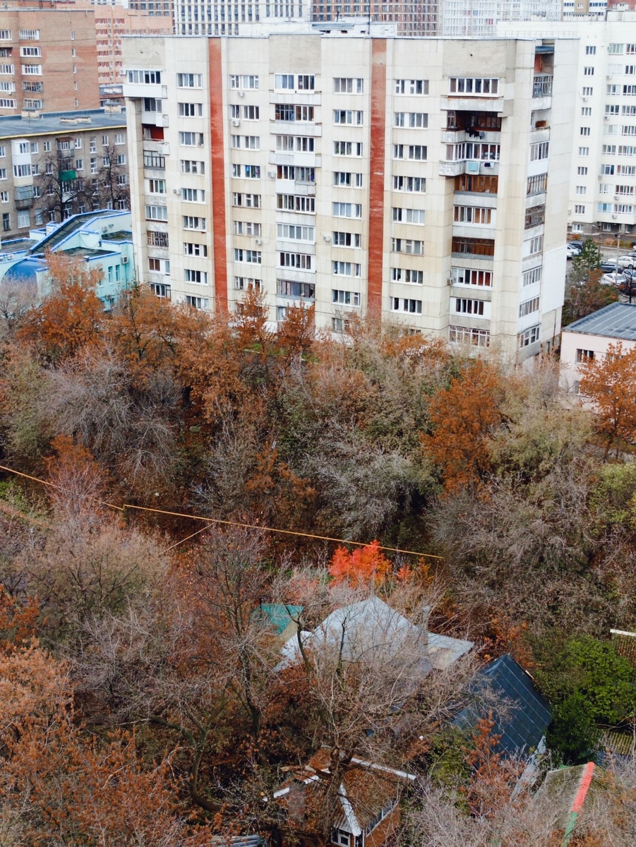 Фото автора. Октябрь. Утро