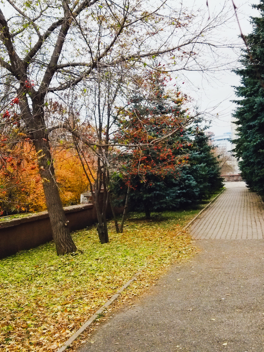 Фото автора. Октябрь