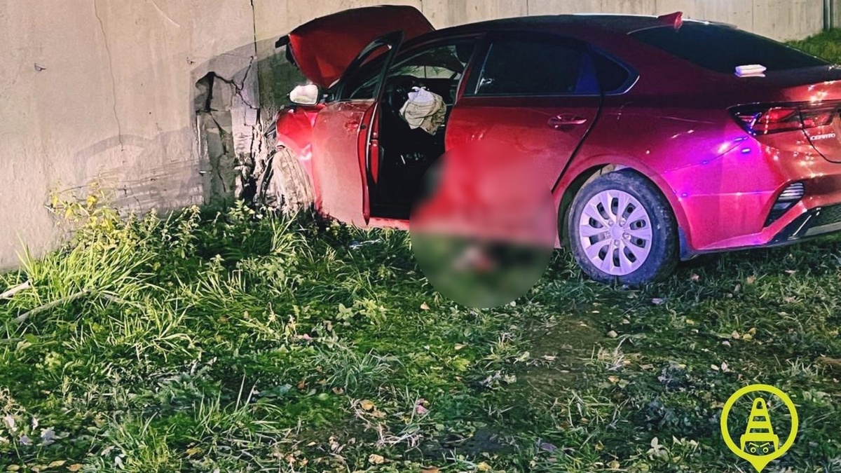 Фото: vk.com/dorinspbФото: vk.com/dorinspb