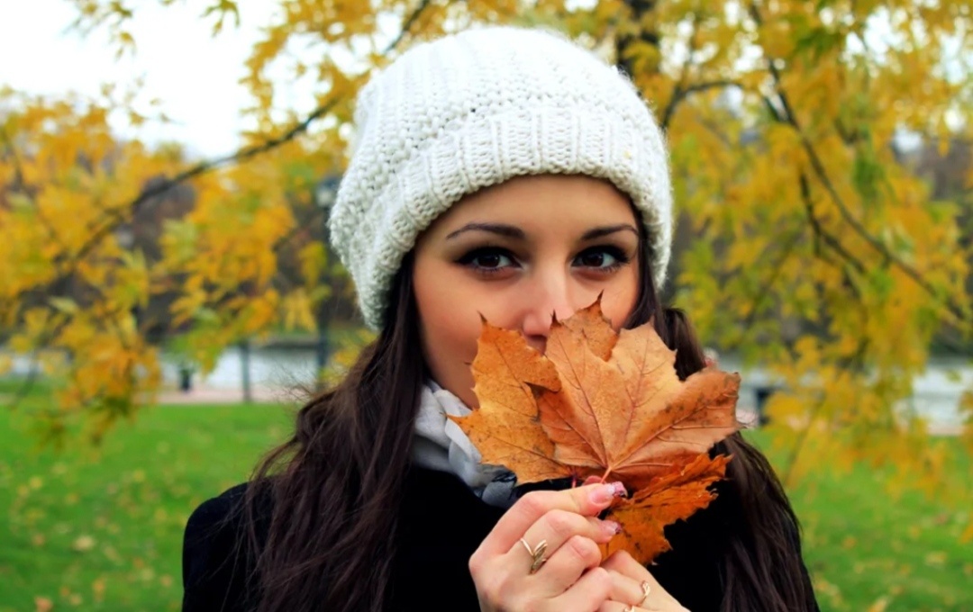 Взято из Яндекс.картинок