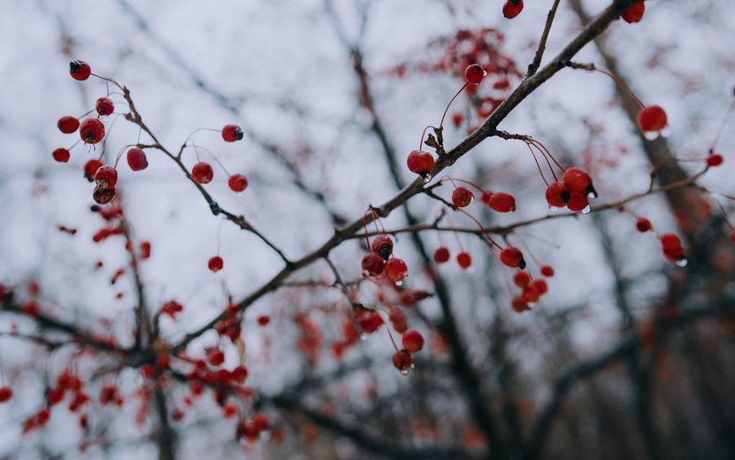    Погода в Ижевске на день: 31 октября ждем усиление ветра и до +4°С