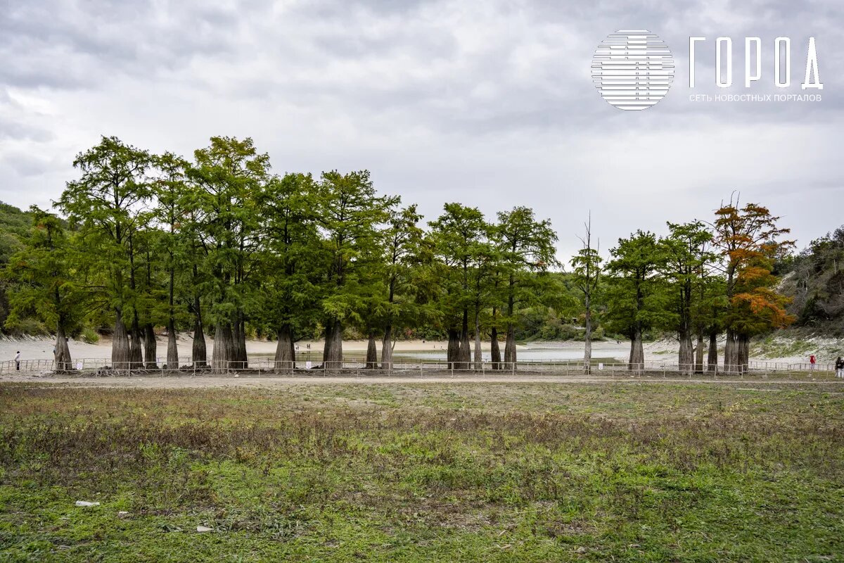 Фото: новости Краснодара "Город". 