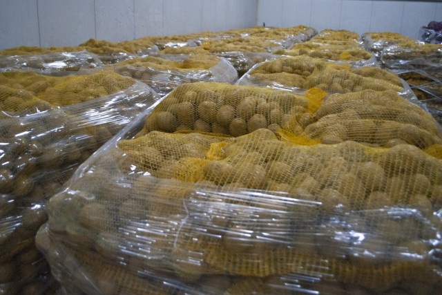   Фото из архива Калининград.Ru