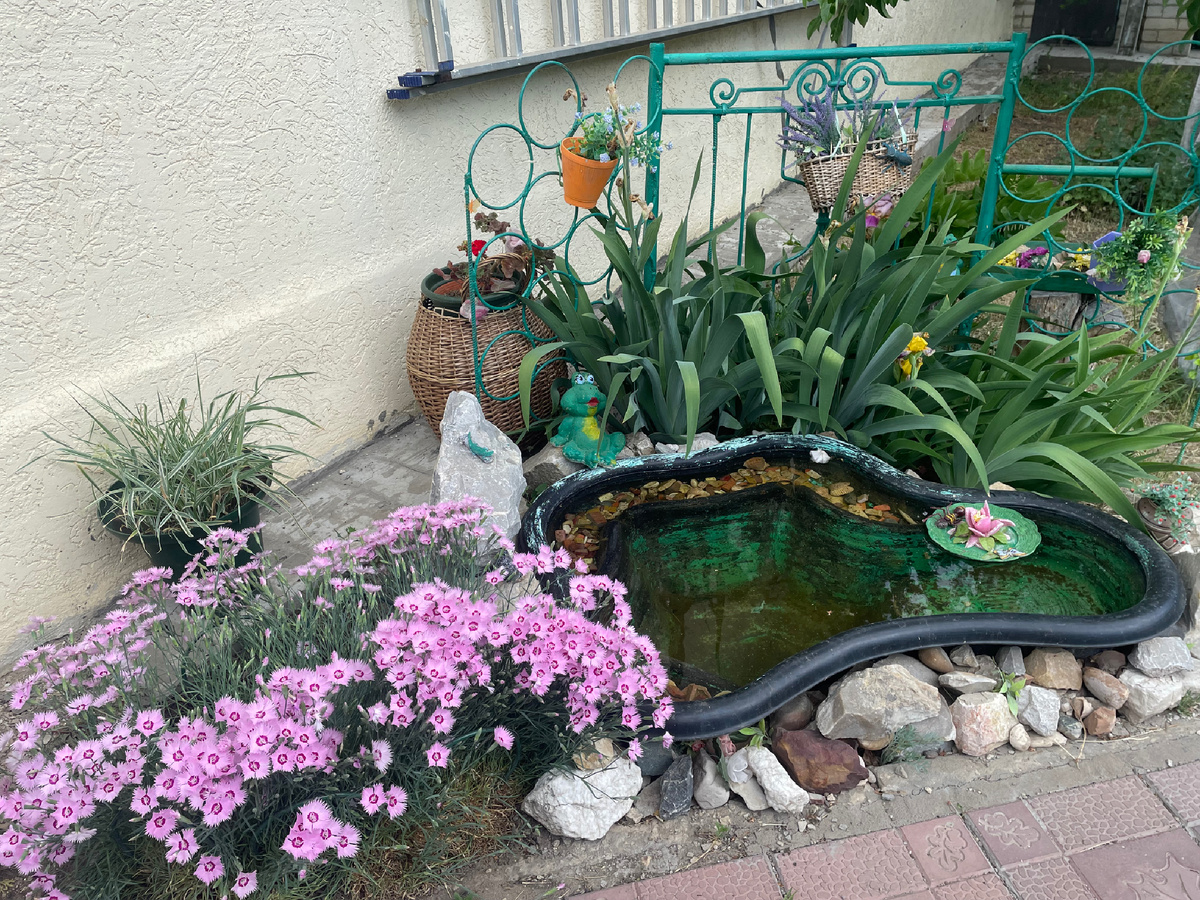 Красота, прудик