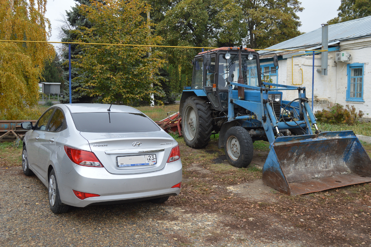 Фото автора. 30.10.2024.