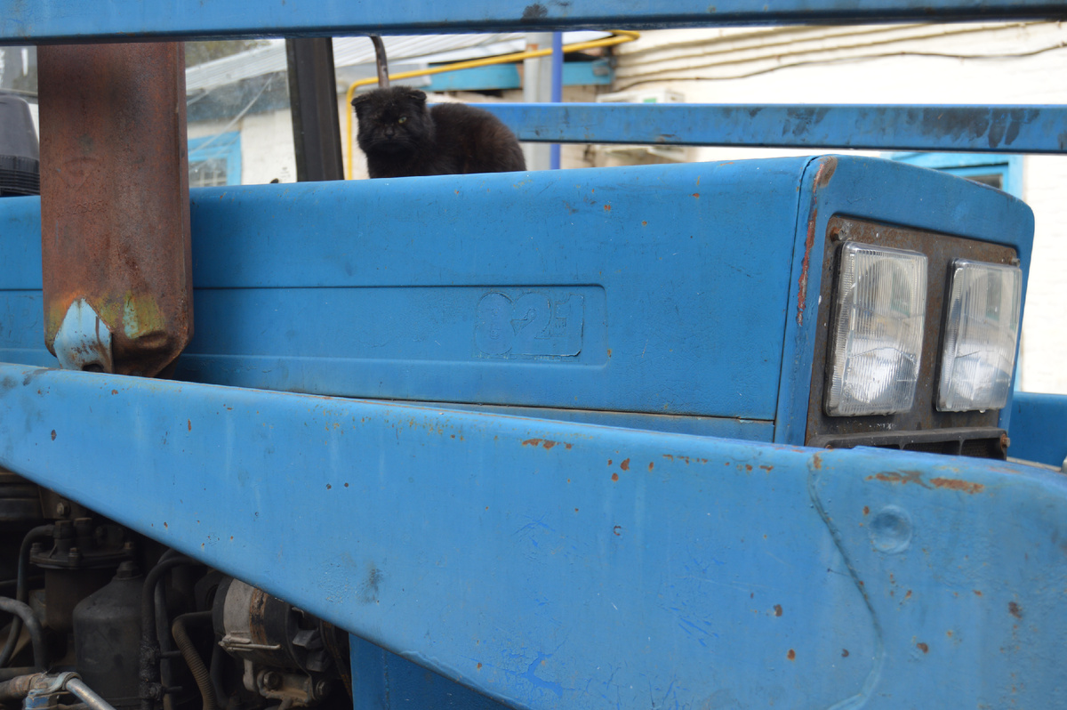 Фото автора. 30.10.2024. Тракторист!