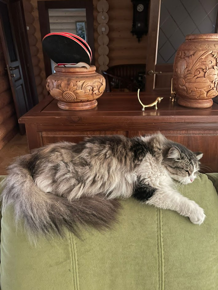 Да вроде и здесь ничего - диван хороший. 