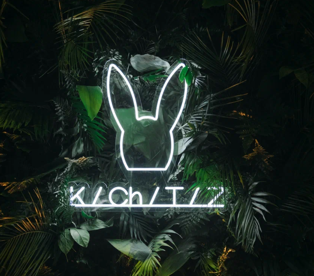     KChTZ/Кролик что-то знает