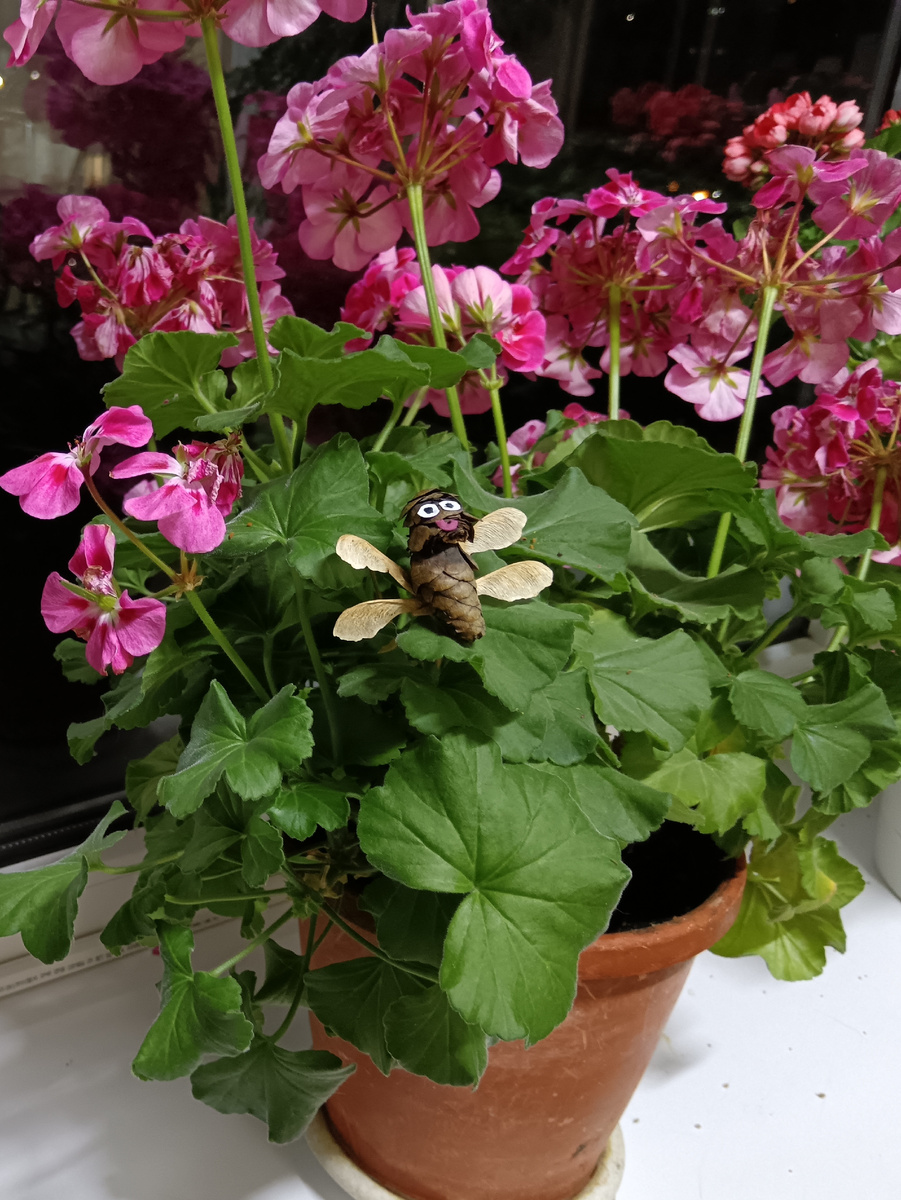 А это поделка из природных материалов по технологии.