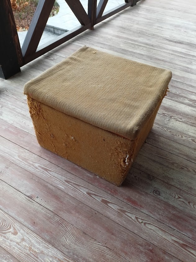 мамина кошка очень её любила драть