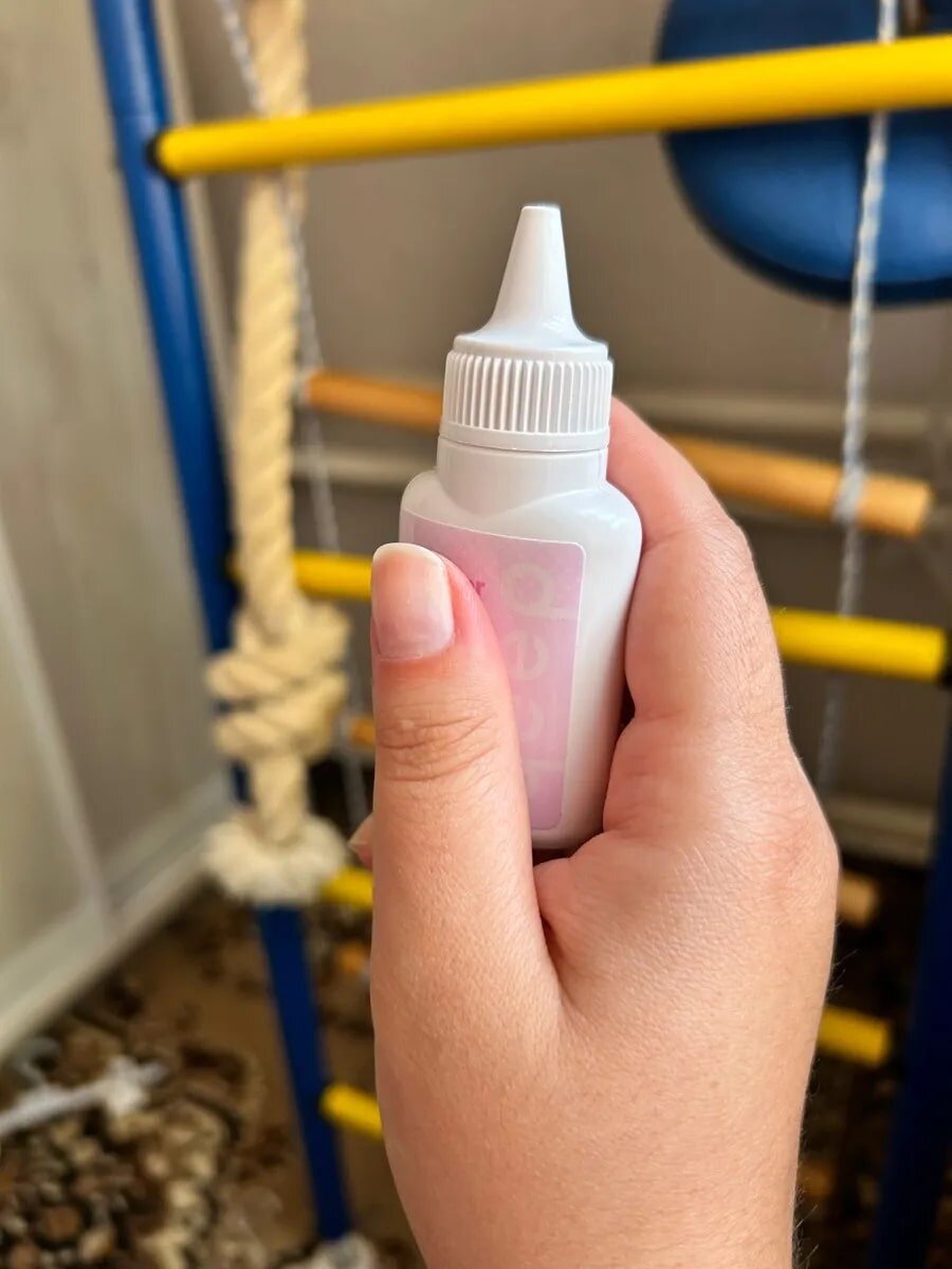    Фото из открытых источников