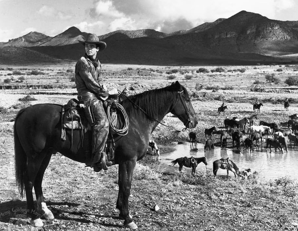 Актер Монтгомери Клифт в фильме Говарда Хоукса и Артура Россона «Красная река» (Red River) 