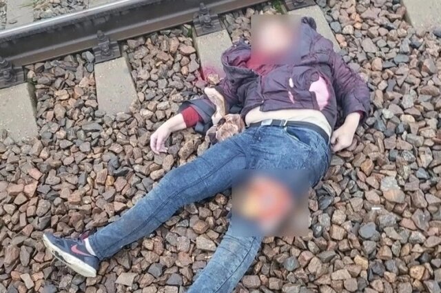    Фото: ВПСО «Сова»