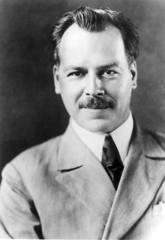 Николай Иванович Вавилов. Фото: Яндекс картинки