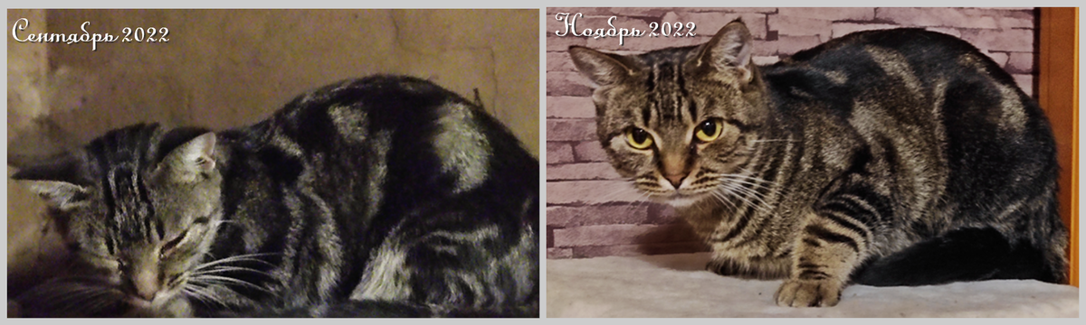  "До и после"