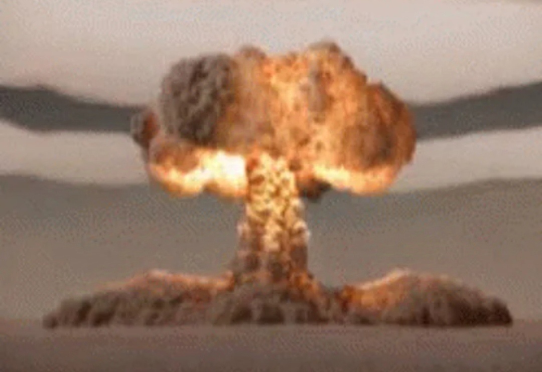 Фото взято из открытых источников