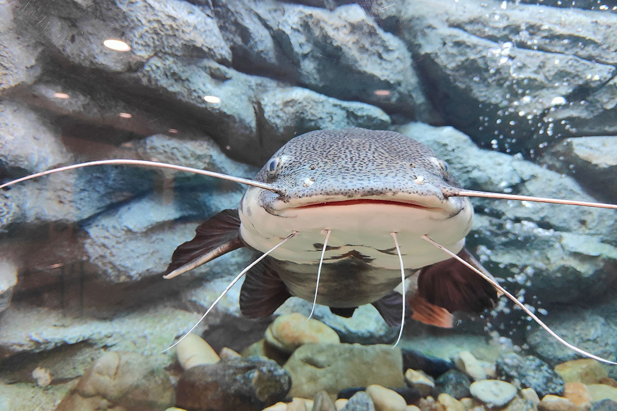    Фото: Lek102 / Shutterstock.com