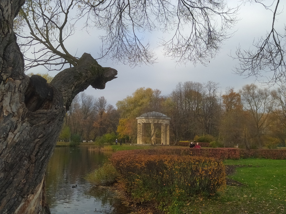 В парке Екатерингоф. Фото автора