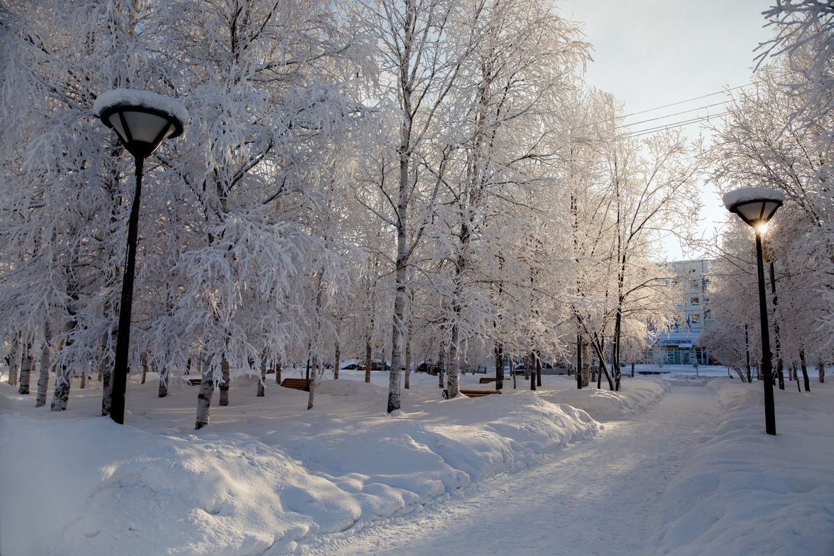    В Югре зимой ожидают много снега и экстремальные перепады температуры