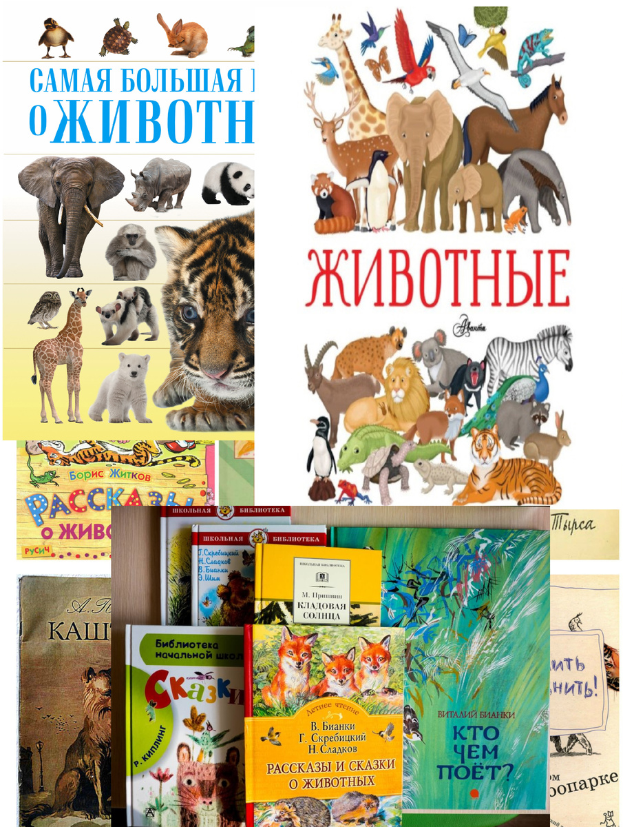 Существует множество художественных и научно-популярных книг о животных