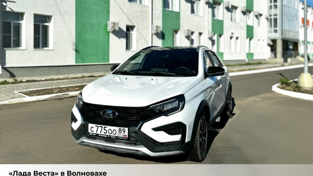    фото – тг-канал Дмитрия Артюхова