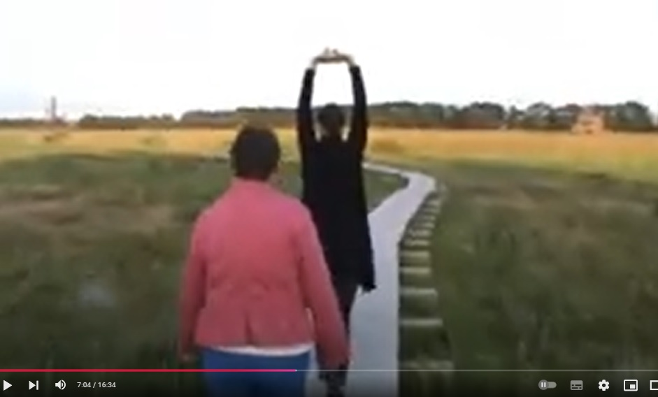 Кадр из моего старого видео. Рига, идем к морю от АЛЛЕИ В. ПИКУЛЯ к заливу. Моя Половинка (в тёмном) пребывала в восторге от вида и погоды.  Её сестричка (за спиной) спокойна ибо видит всё это ежедневно в любую погоду десятилетиями.      