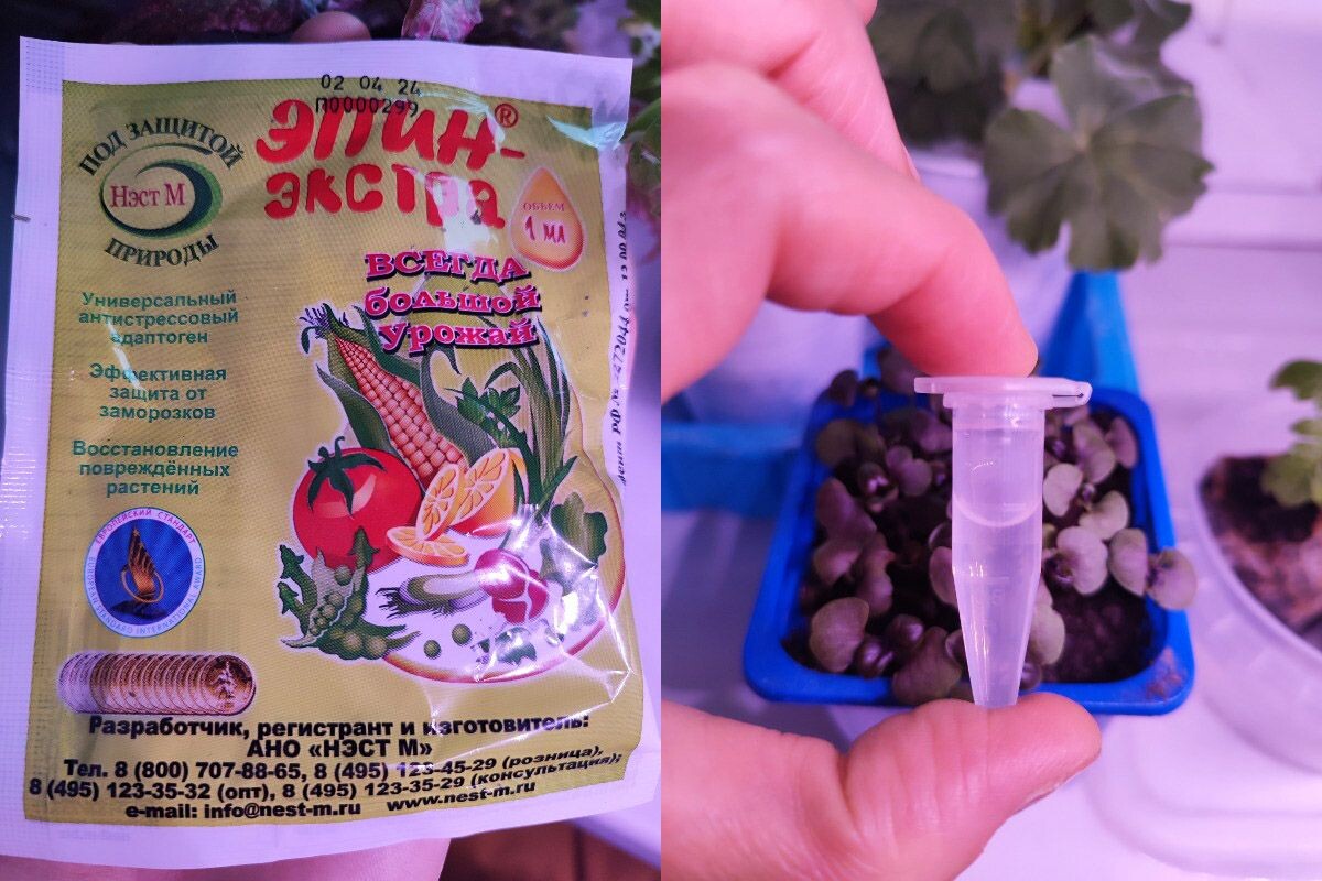 Так выглядит упаковка препарата объемом 1 мл. Источник: личный архив Анны Молчановой📷
