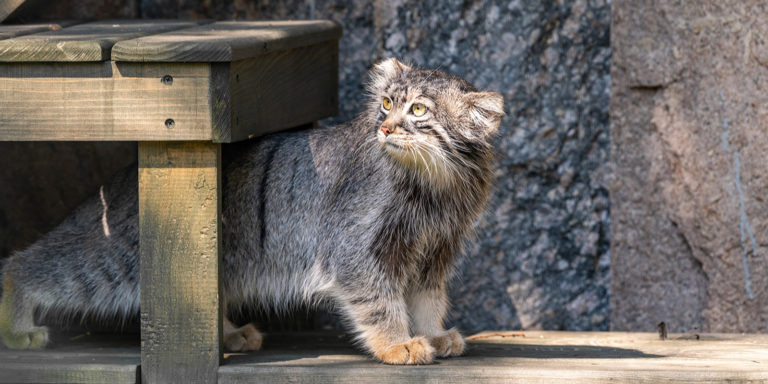    Фото: mos.ru Екатерина Шахнина