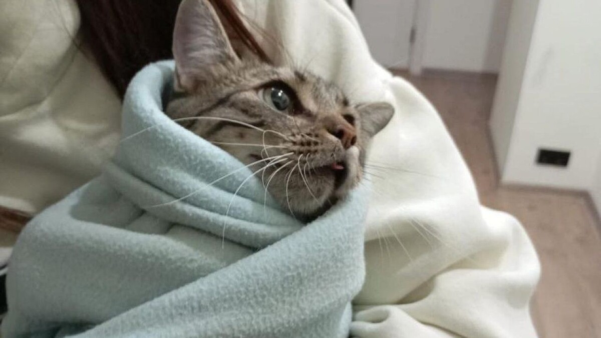    Фото: t.me/alekseioderov